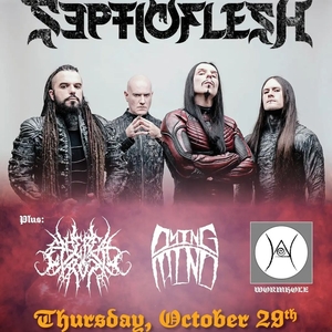 Wormhole Tickets, Tour Dates and Concerts