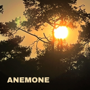 ANEMONE Tickets, Tour Dates and Concert