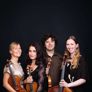 Brother Tree Sound Tickets, Tour Dates and Concerts