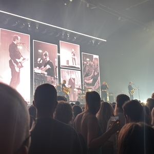 Racoon at Groningen, Netherlands in Martinihal 2026