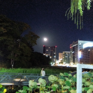 杏里 at 日本秋田市 in あきた芸術劇場ミルハス 大ホール 2026