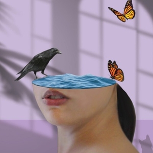 lys scott: chronicles of a crazy girl