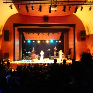 CocoRosie at Bogota, Colombia in Teatro Ecci 2015