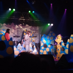 Ariel Pink at Portland, OR in Roseland 2015