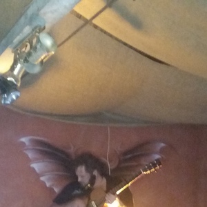 Mike Elrington at Central Tilba, Australia in Dromadery Hotel 2015