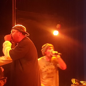People Under the Stairs at Chicago, IL in Lincoln Hall 2015