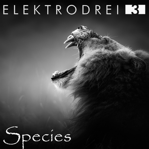 Elektrodrei Tickets, Tour Dates and Concerts