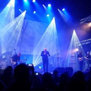 Green Carnation at Tilburg, Netherlands in 013 2016