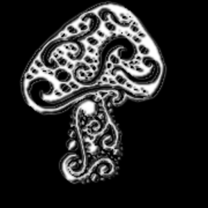 Schroomville-A Tribute to The Allman Brothers Band