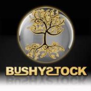 BushyStock Tickets, Tour Dates and Concerts