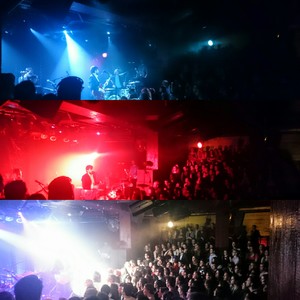 Puggy at Paris, France in La Maroquinerie 2016
