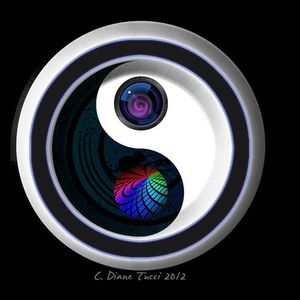 Diane Tucci Photography & Design Tickets, Tour Dates and Concert