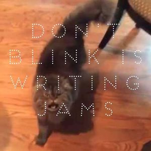 Don't Blink Tickets, Tour Dates and Concerts