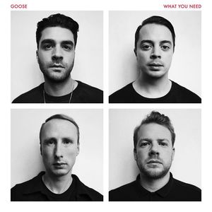 Goose