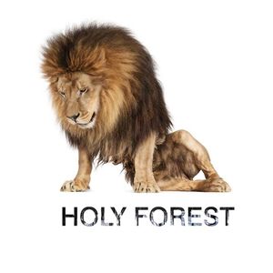 Holy Forest Tickets, Tour Dates and %{concertOrShowText}