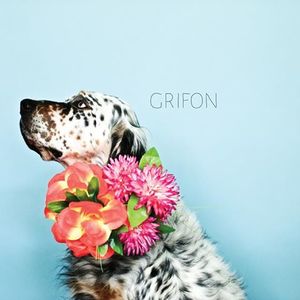 Grifon Tickets, Tour Dates and Concerts