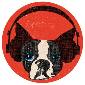 Snarky Puppy