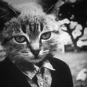 Cat City Tickets, Tour Dates and Concert