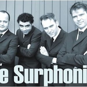 The Surphonics Tickets, Tour Dates and Concerts