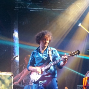 Earphunk at Dallas, TX in Trees 2016