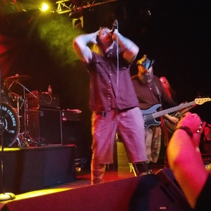 American Head Charge at Dallas, TX in Trees 2016