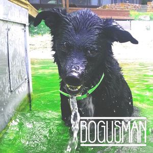 Bogusman Tickets, Tour Dates and Concerts