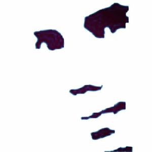 artist
