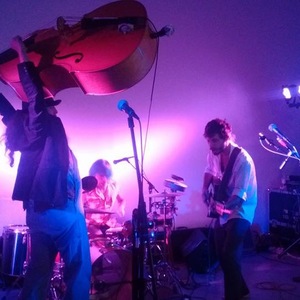 Strung Like A Horse at Chicago, IL in Private Event 2016