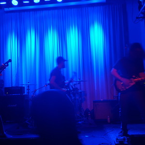 If These Trees Could Talk at Baltimore, MD in Metro Gallery 2016
