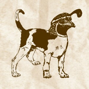 The Quaildogs Tickets, Tour Dates and Concerts