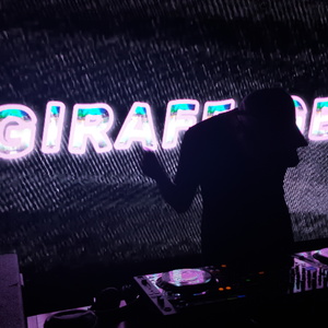 Giraffage at Tempe, AZ in Shady Park 2016