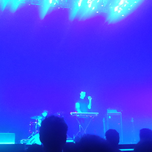 Goose at Antwerp, Belgium in Lotto Arena 2016
