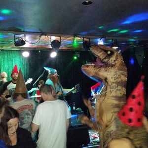 The Alpaca Gnomes at New Haven, CT in Pacific Standard Tavern 2016