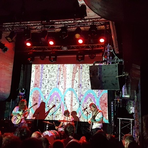 Wooden Shjips at Paris, France in Petit Bain 2016