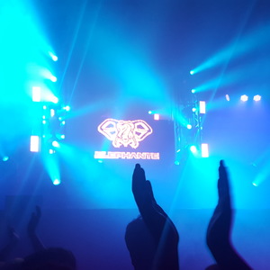 Elephante at Chicago, IL in Aragon 2016