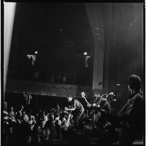The Wild Feathers