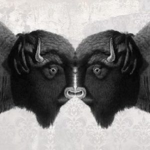 Entradas, fechas de la gira y Concierto de Brother Buffalo