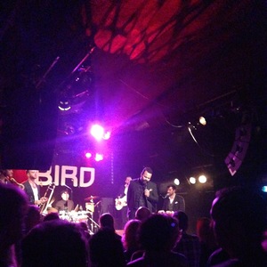 Myles Sanko at Rotterdam, Netherlands in Bird 2016