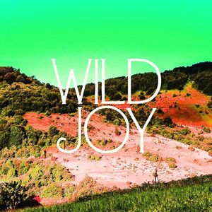 Wild Joy Tickets, Tour Dates and %{concertOrShowText}