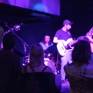 Paper Bison at Houston, TX in Satellite 2017