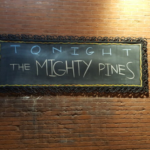 The Mighty Pines at St Louis, MO in Venice Cafe 2017