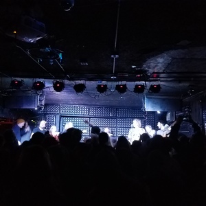 The Donkeys at San Diego, CA in The Casbah 2017
