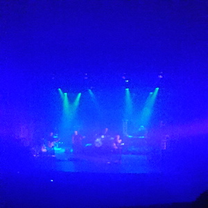 Zornik at Beringen, Belgium in CC Casino 2017