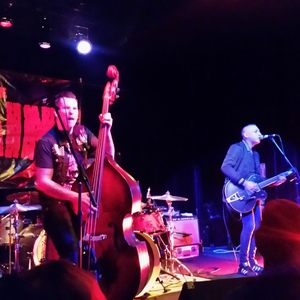 The Brains at San Jose, CA in The Ritz 2016