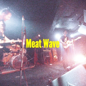 Meat Wave at Chicago, IL in Empty Bottle 2016