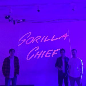 Gorilla Chief