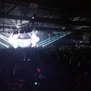 Bear Grillz at Grand Rapids, MI in The Intersection 2017