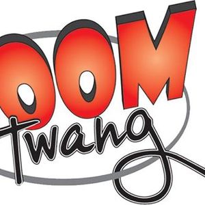 Boom Twang Band
