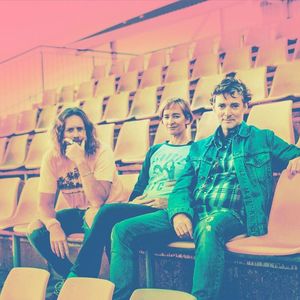 Spiderbait