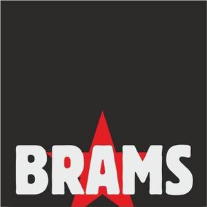 BRAMS 2010